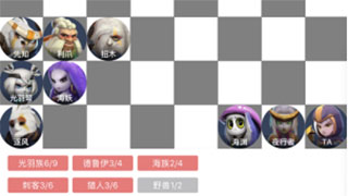 多多自走棋光羽猎刺阵容搭配